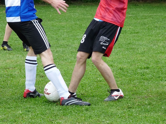 运动均感兴 运动均感兴