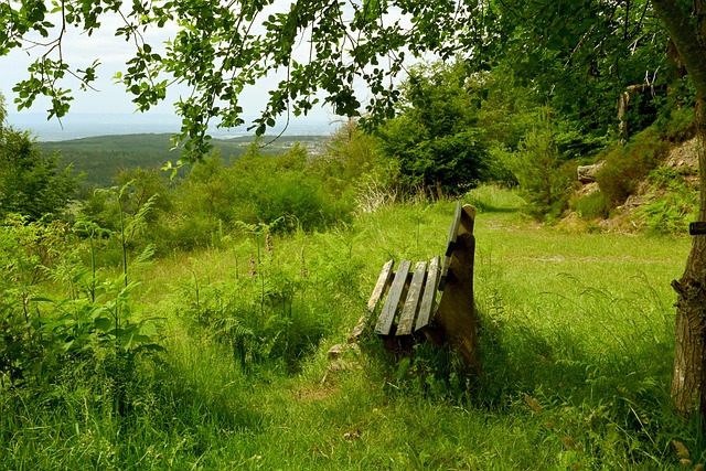 皇馬球星托尼·克羅斯支持新歐超計劃：“我們不需要歐足聯！＂.