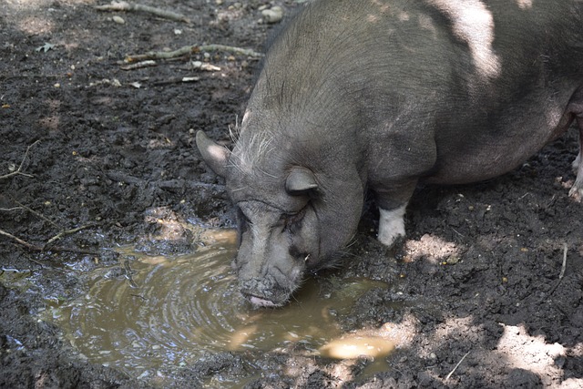 对某大型制 对某大型制